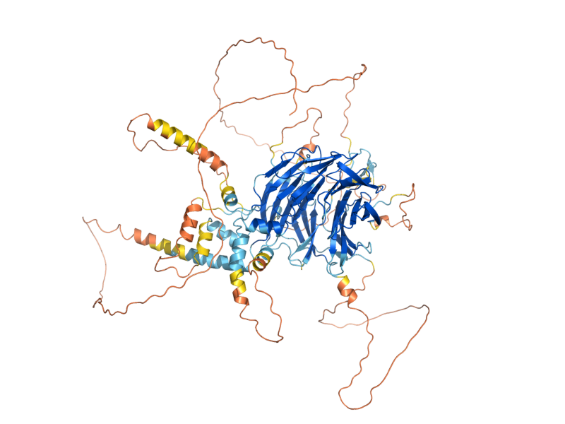AlphaFold predicted structure of DGR2