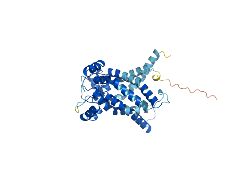 AlphaFold predicted structure of OAC1