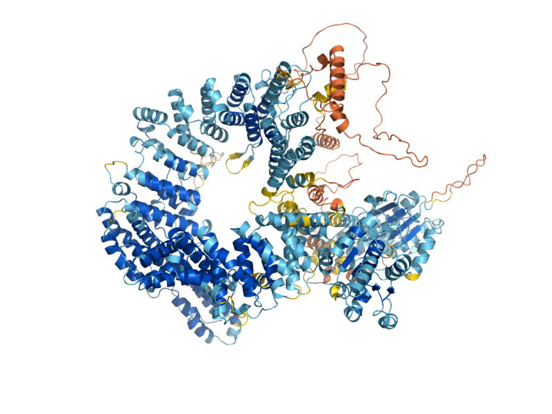 AlphaFold predicted structure of MOT1