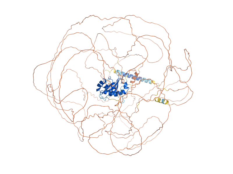 AlphaFold predicted structure of MSB2