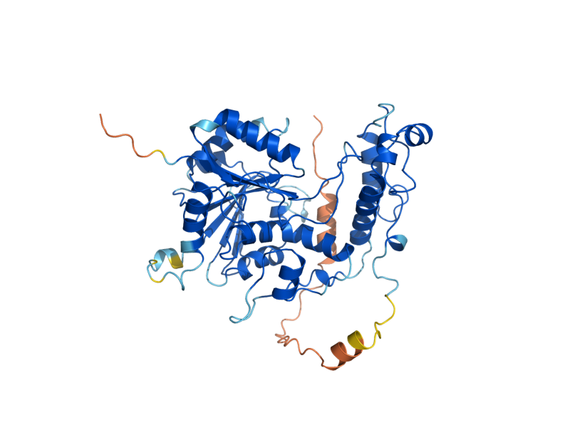 AlphaFold predicted structure of MSS51