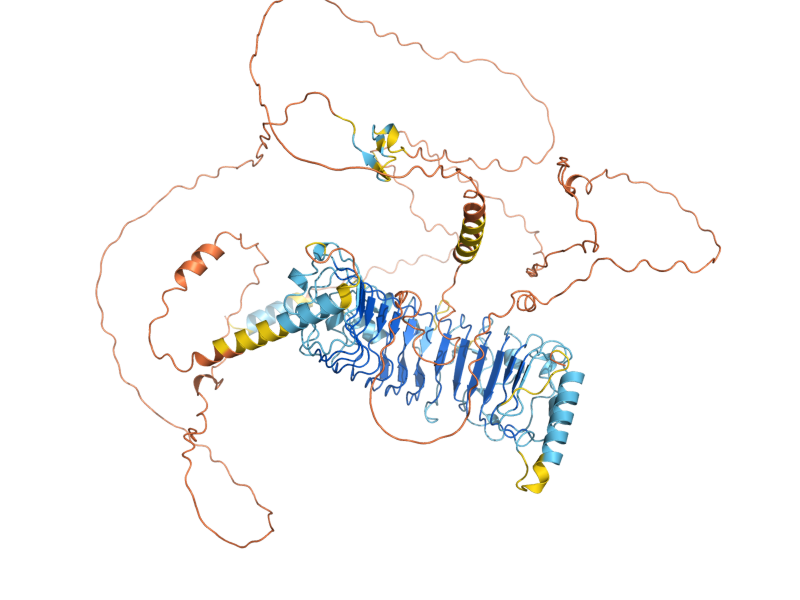 AlphaFold predicted structure of NUD1