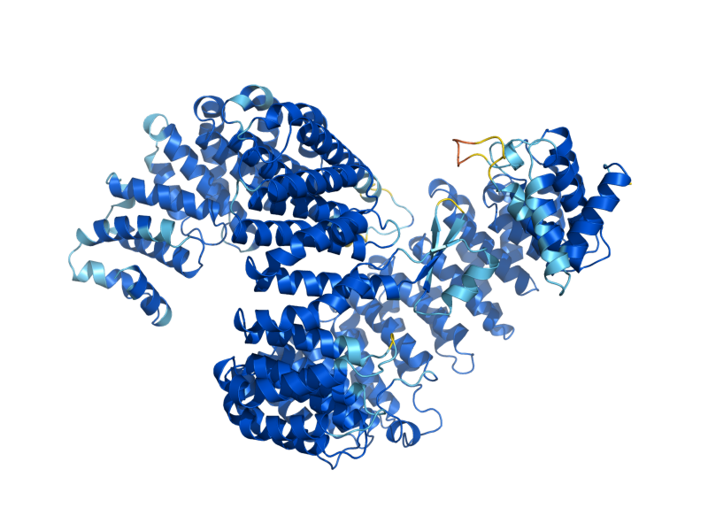 AlphaFold predicted structure of PSE1