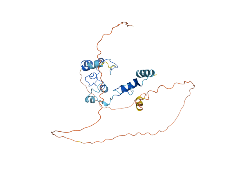 AlphaFold predicted structure of RME1