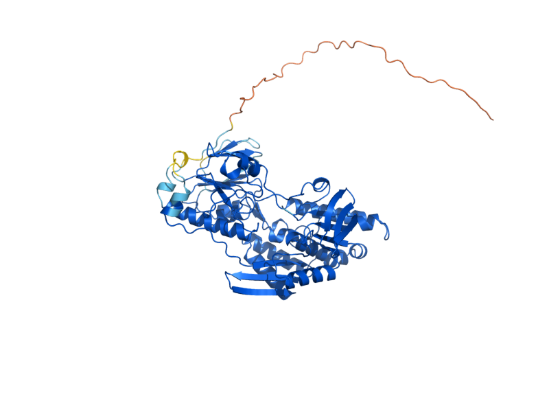 AlphaFold predicted structure of NDI1