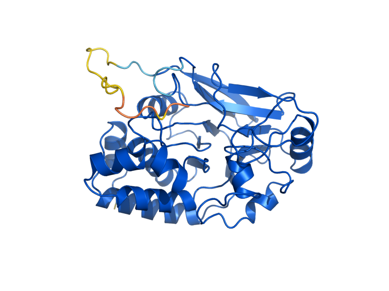 AlphaFold predicted structure of PPH3