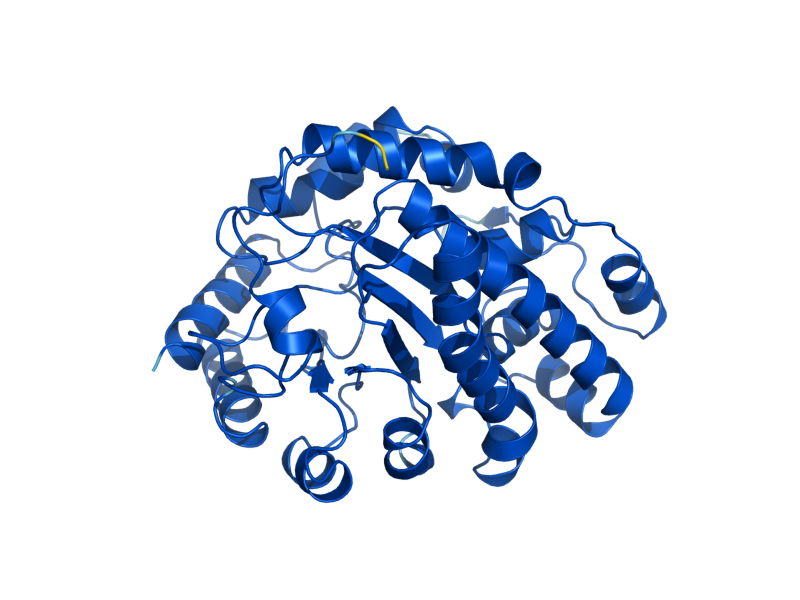 AlphaFold predicted structure of HEM12