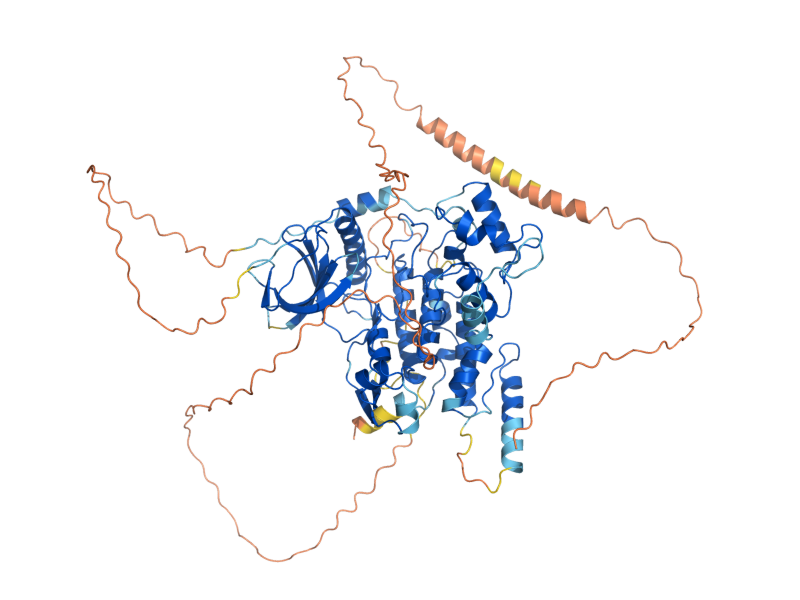 AlphaFold predicted structure of KNS1