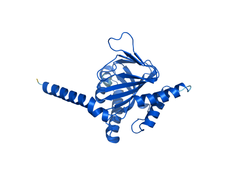 AlphaFold predicted structure of ERG2