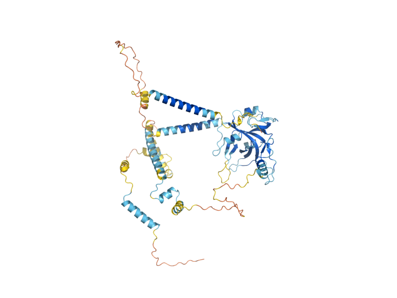 AlphaFold predicted structure of MCM10