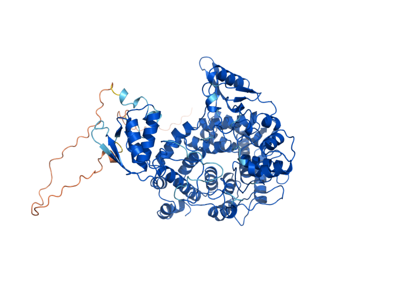 AlphaFold predicted structure of NTH1