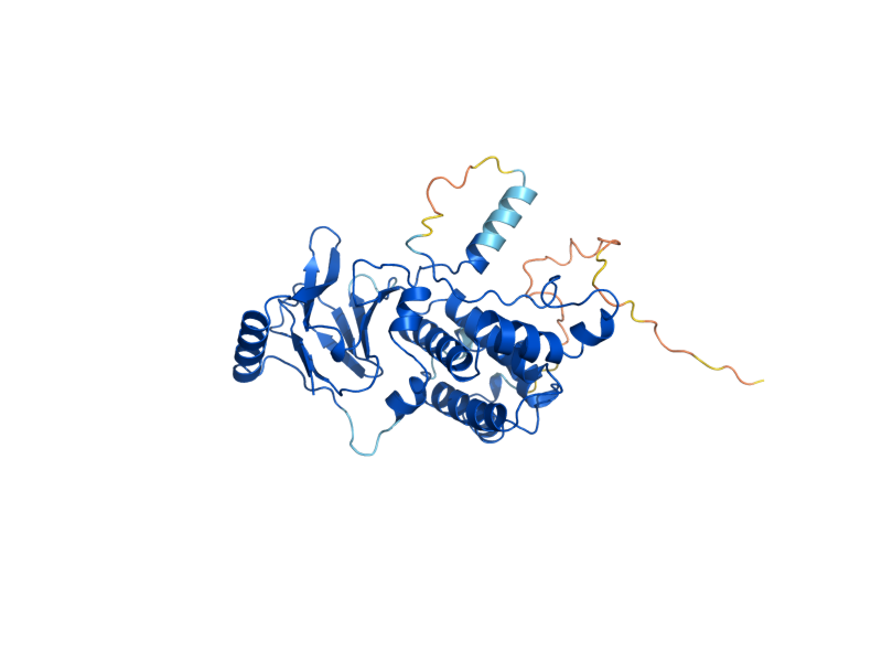 AlphaFold predicted structure of AAR2