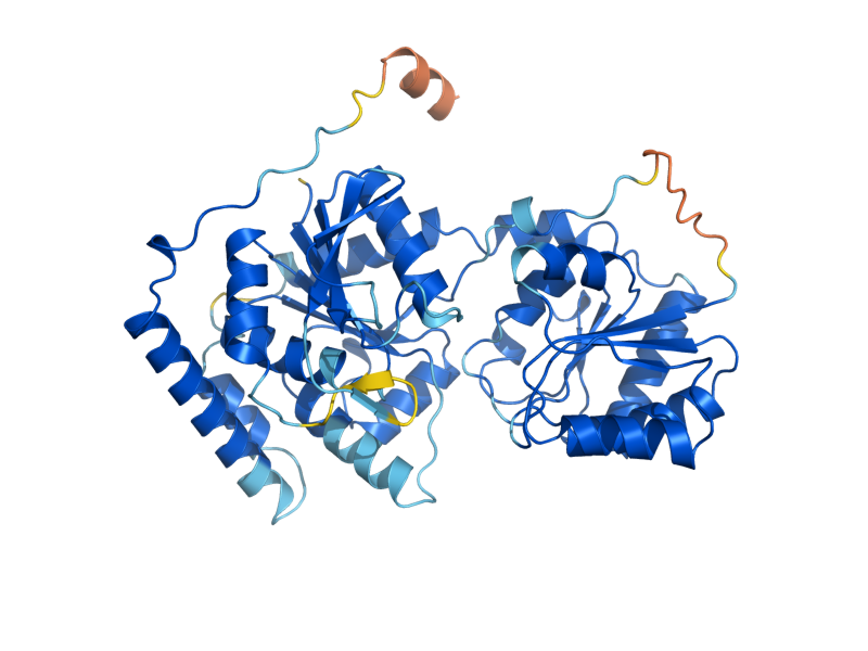 AlphaFold predicted structure of SPT14