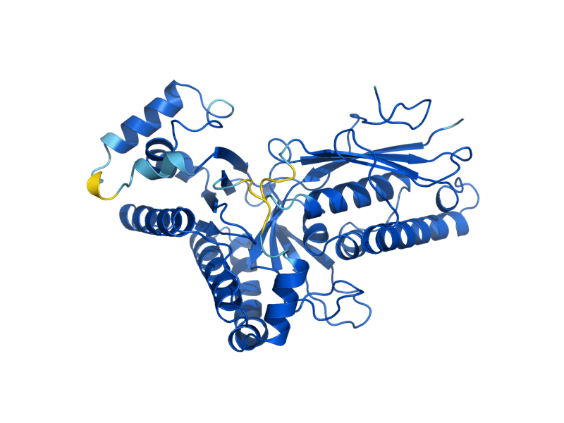 AlphaFold predicted structure of MVD1