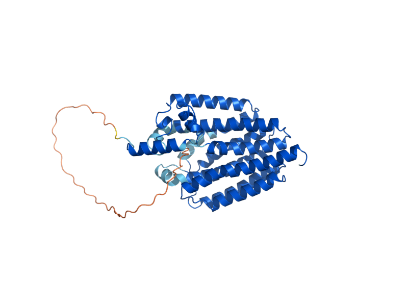 AlphaFold predicted structure of COQ2