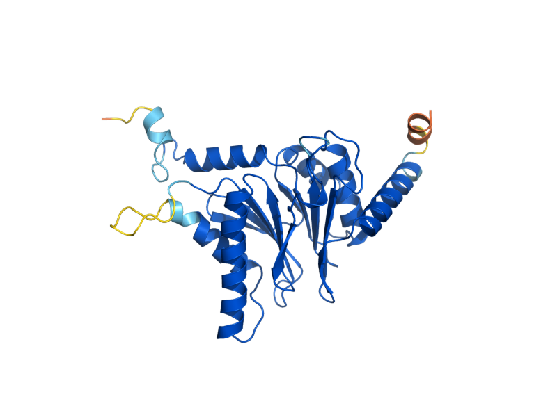 AlphaFold predicted structure of PUP2