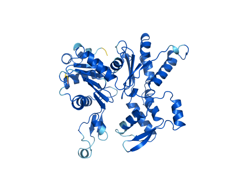 AlphaFold predicted structure of ARP2