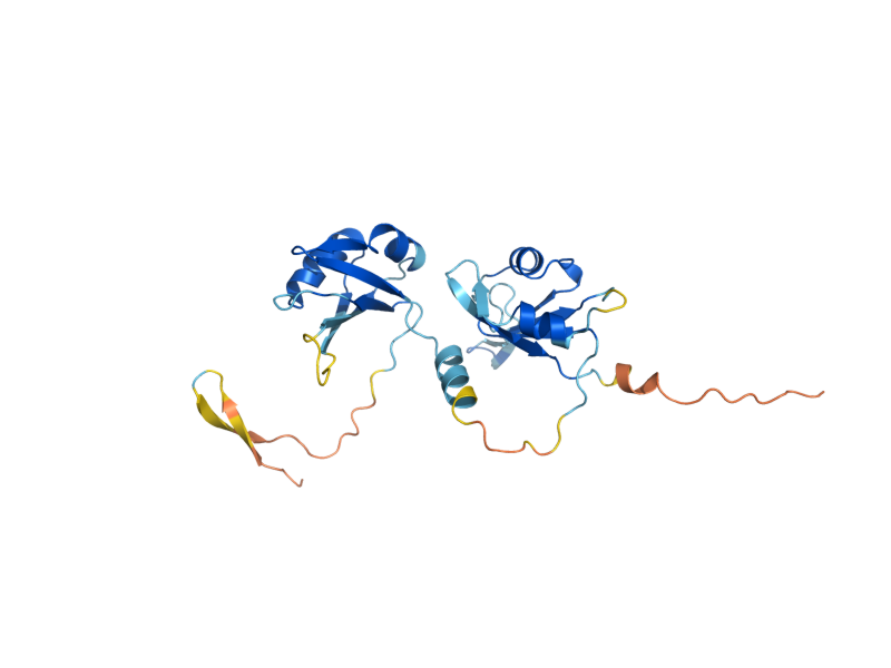 AlphaFold predicted structure of RNP1