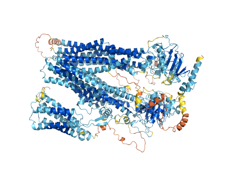AlphaFold predicted structure of YBT1