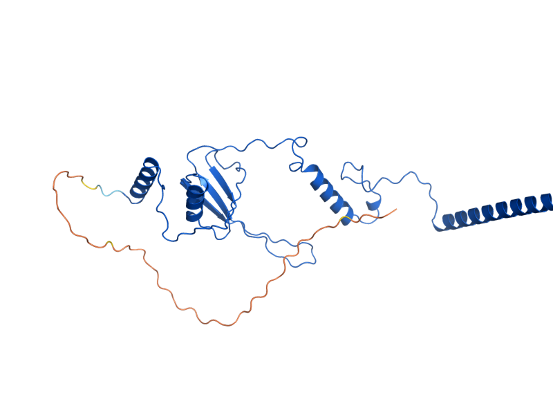 AlphaFold predicted structure of MRP20
