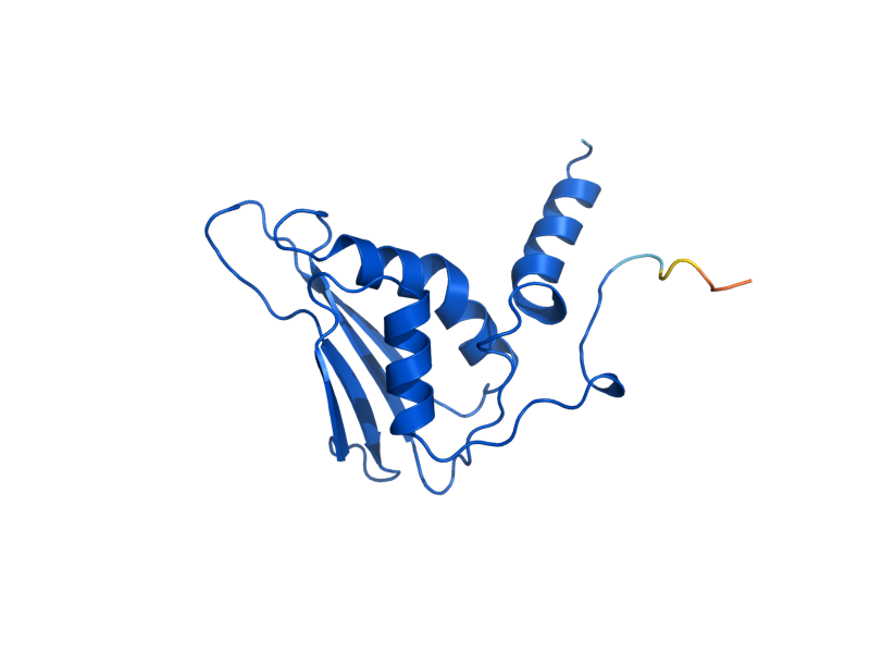 AlphaFold predicted structure of MRP49