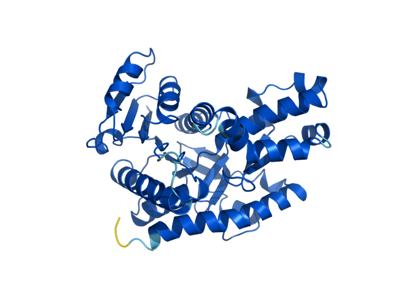 AlphaFold predicted structure of MDH3