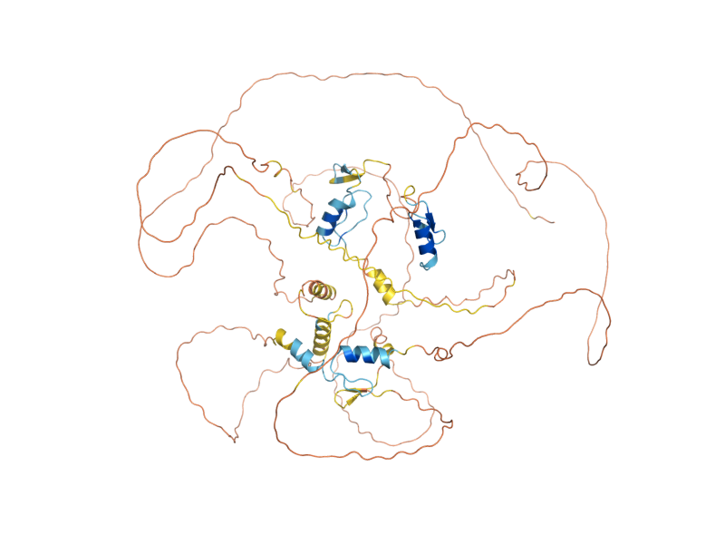 AlphaFold predicted structure of SFP1