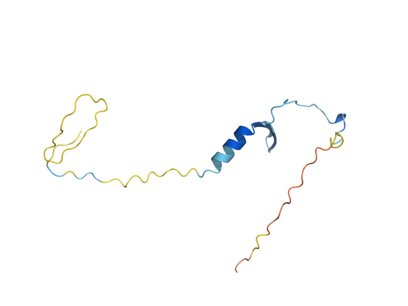 AlphaFold predicted structure of MF(ALPHA)2