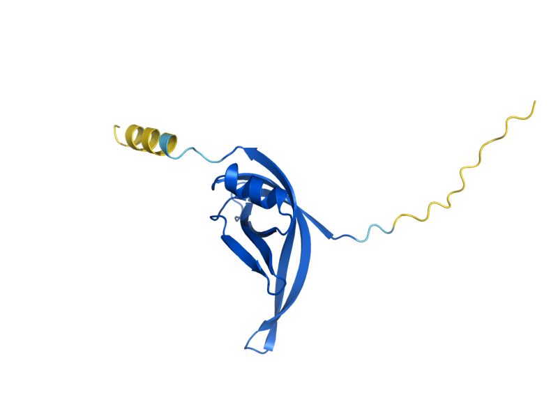 AlphaFold predicted structure of RIM1