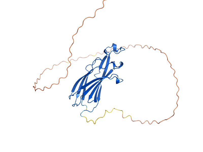 AlphaFold predicted structure of ASF1