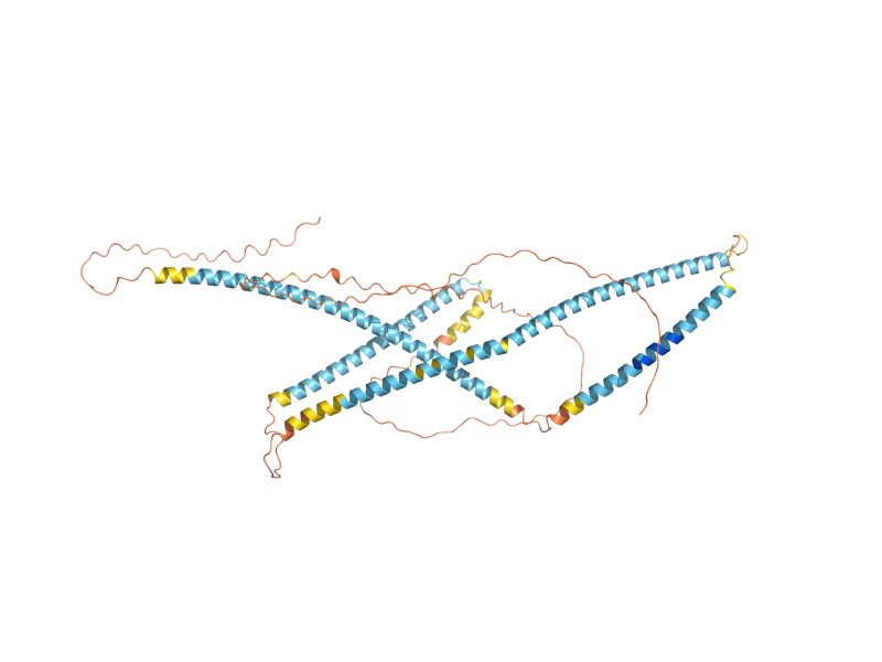 AlphaFold predicted structure of ASF2