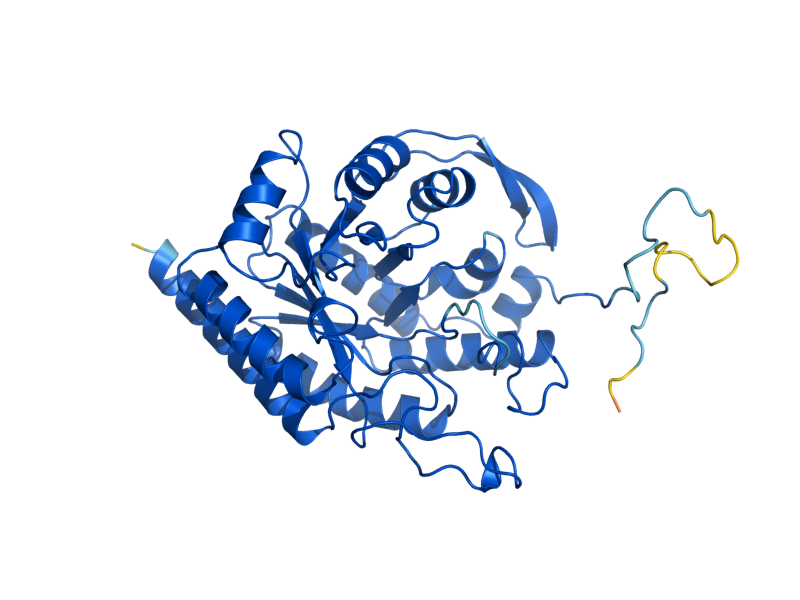 AlphaFold predicted structure of ARO4