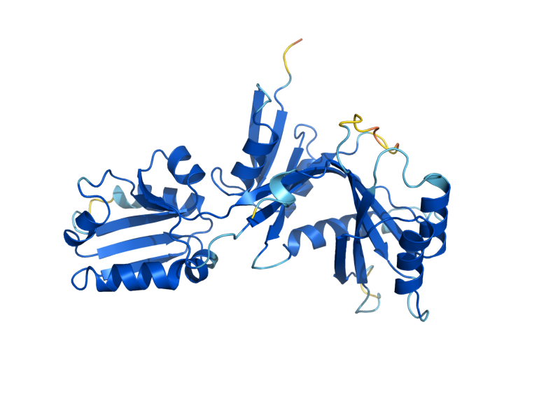 AlphaFold predicted structure of PHA2