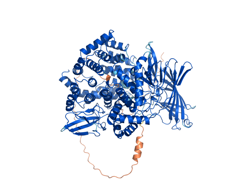AlphaFold predicted structure of APE2