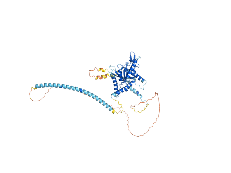 AlphaFold predicted structure of CDC3