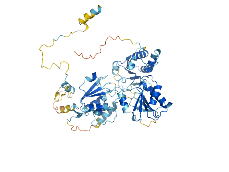 AlphaFold predicted structure of DPH2