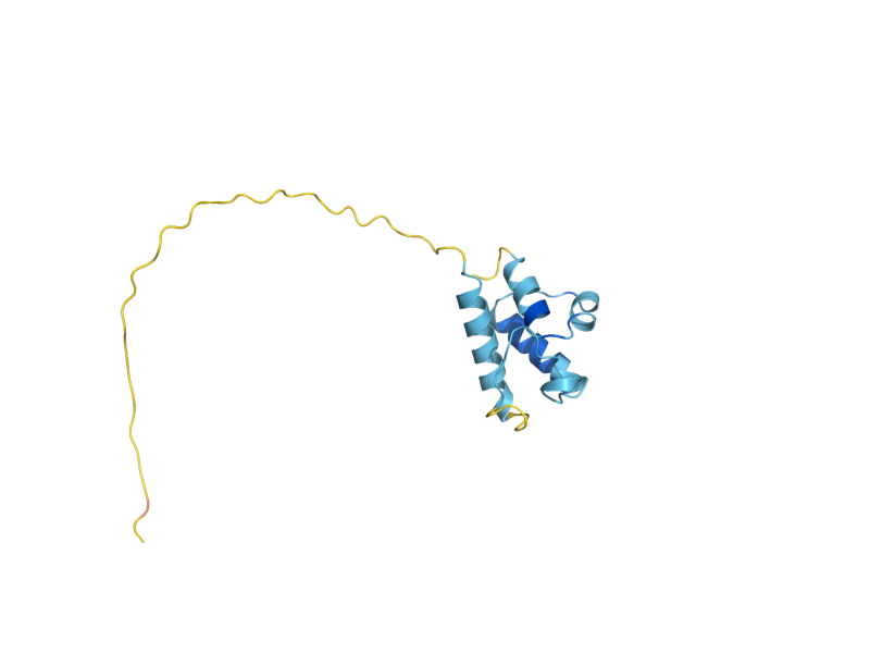 AlphaFold predicted structure of ACP1