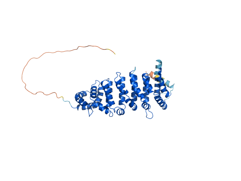AlphaFold predicted structure of HYM1