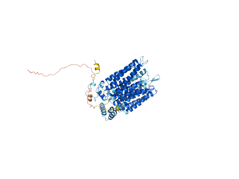 AlphaFold predicted structure of HXT1