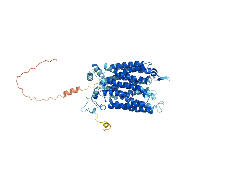 AlphaFold predicted structure of HXT3
