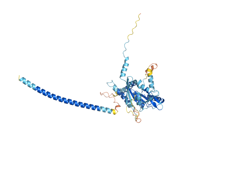 AlphaFold predicted structure of CDC12