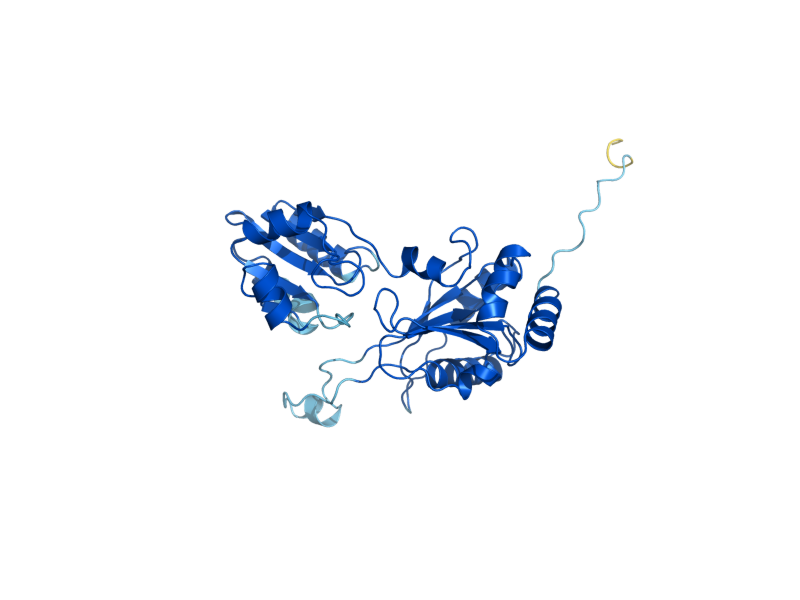 AlphaFold predicted structure of DPH5