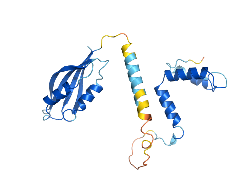 AlphaFold predicted structure of EFB1