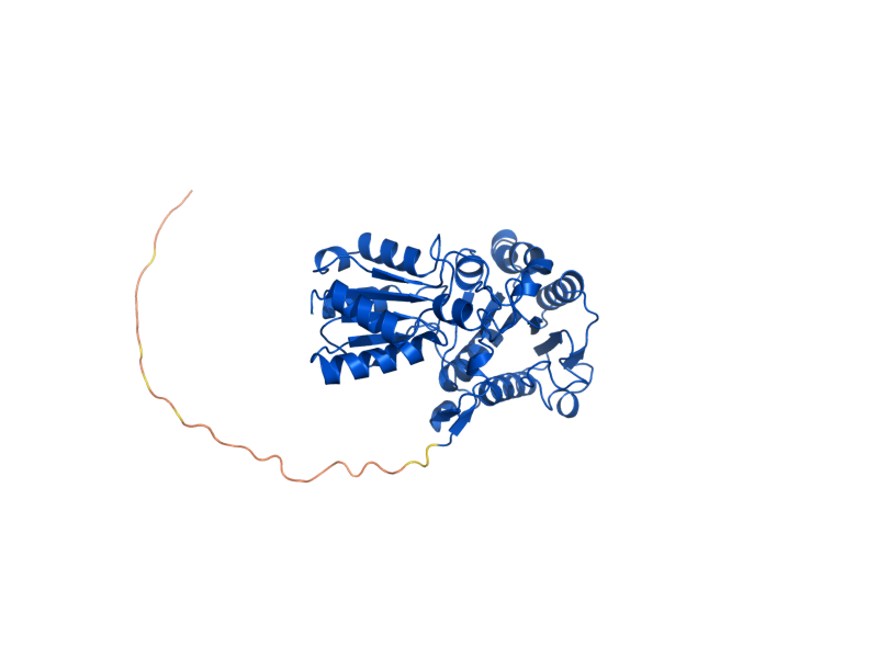 AlphaFold predicted structure of PDB1