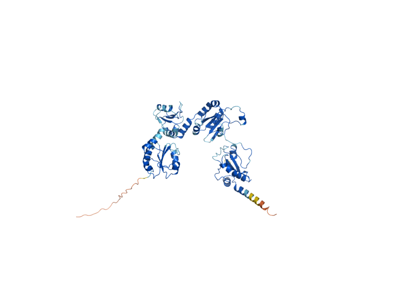AlphaFold predicted structure of EUG1