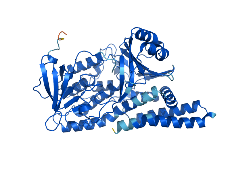 AlphaFold predicted structure of ERG1