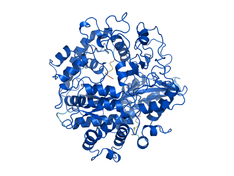 AlphaFold predicted structure of GSH1