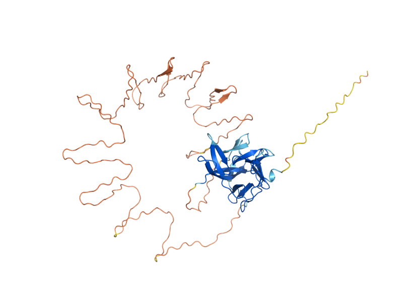 AlphaFold predicted structure of HSP150