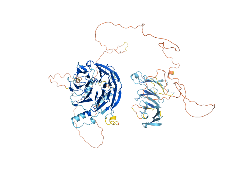 AlphaFold predicted structure of HIR1