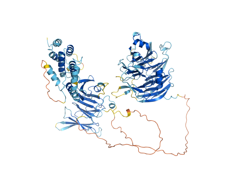 AlphaFold predicted structure of HIR2